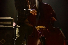 Ani DiFranco, 2/8/20, Fort Collins, CO @ Washington's