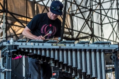 All-Star Jam, 7/31/2019, Indianapolis, IN @ The Farm Bureau Insurance Lawn at White River State Park